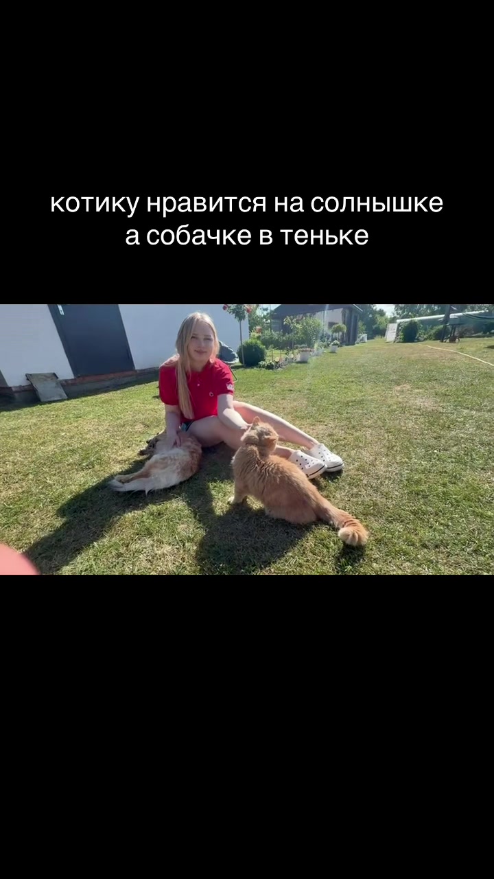 @ultrassensitive