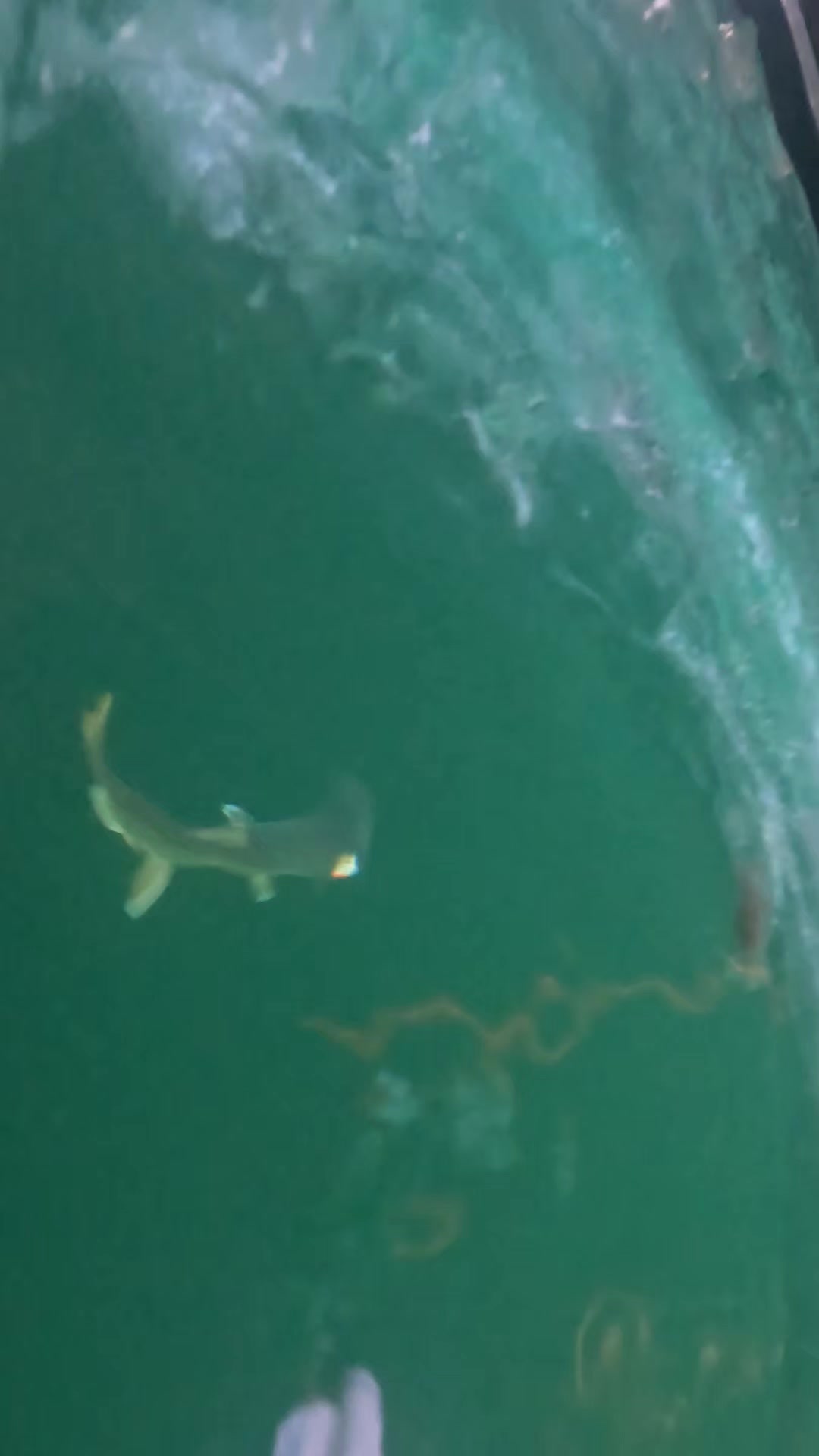 @FishingParadise