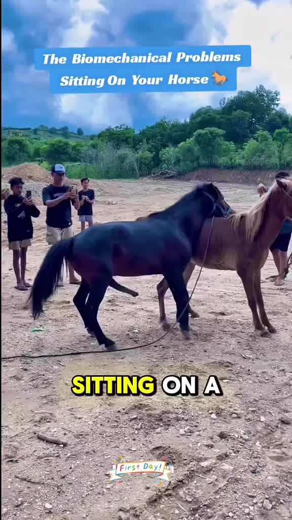 @animallifevideo