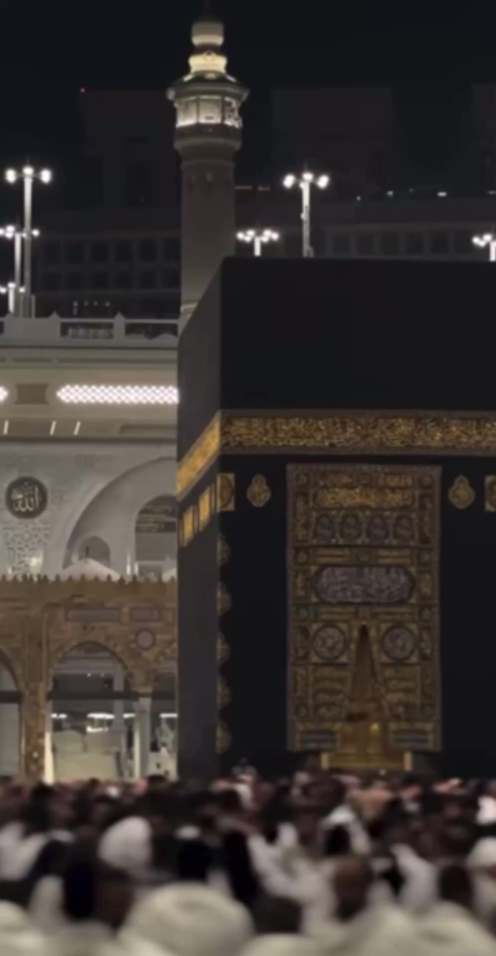 @جنابِ عالم