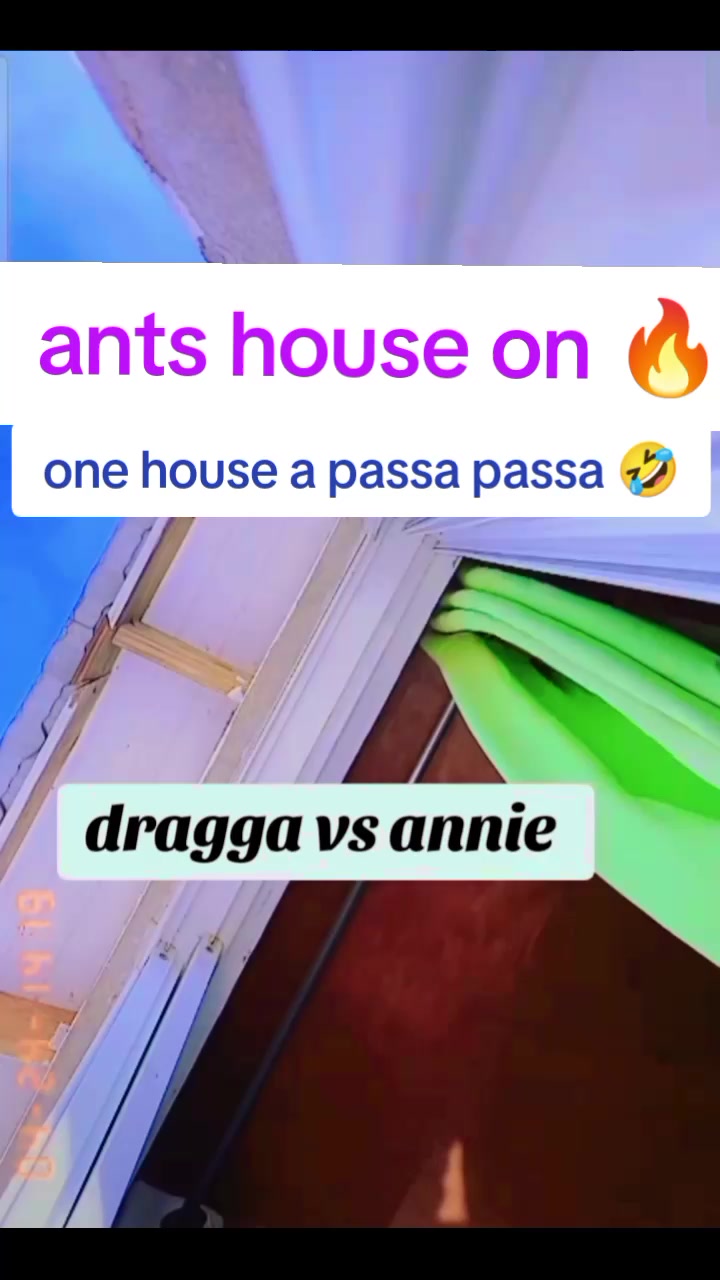 @tiktok passapassa