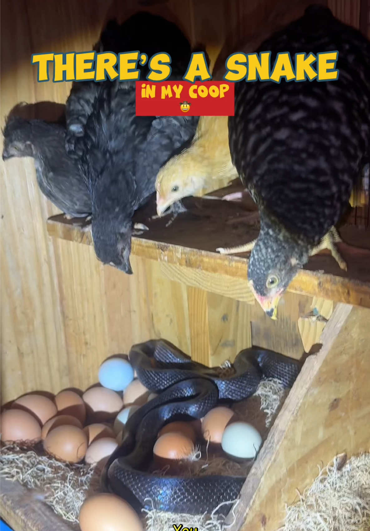 @Mindy | Pretend Farmer