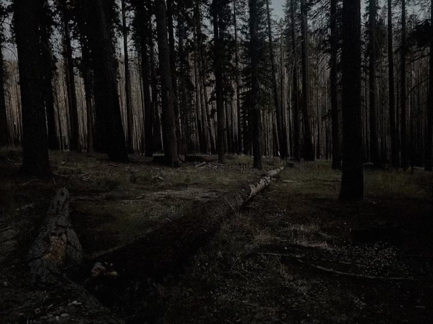 @𝒔𝒐𝒏𝒈𝒔