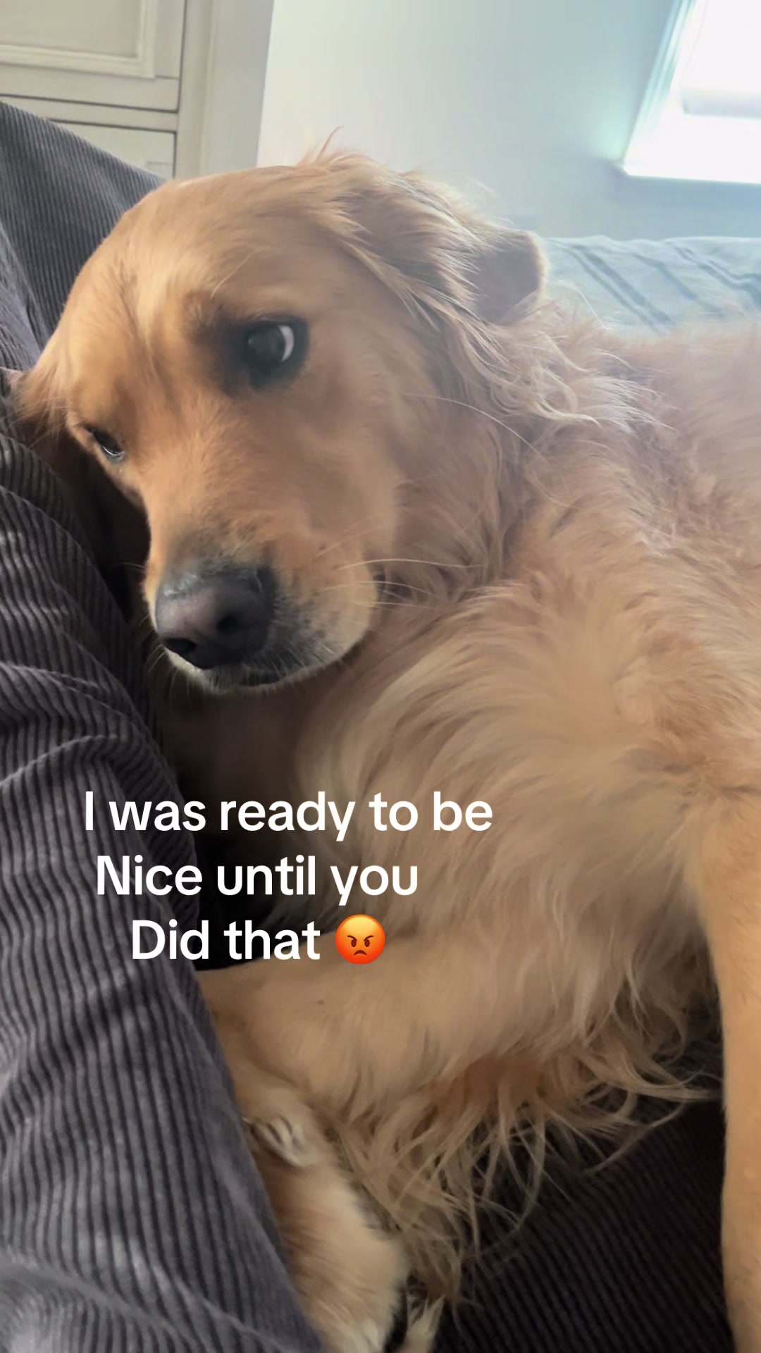 @Winnie the Golden Girly