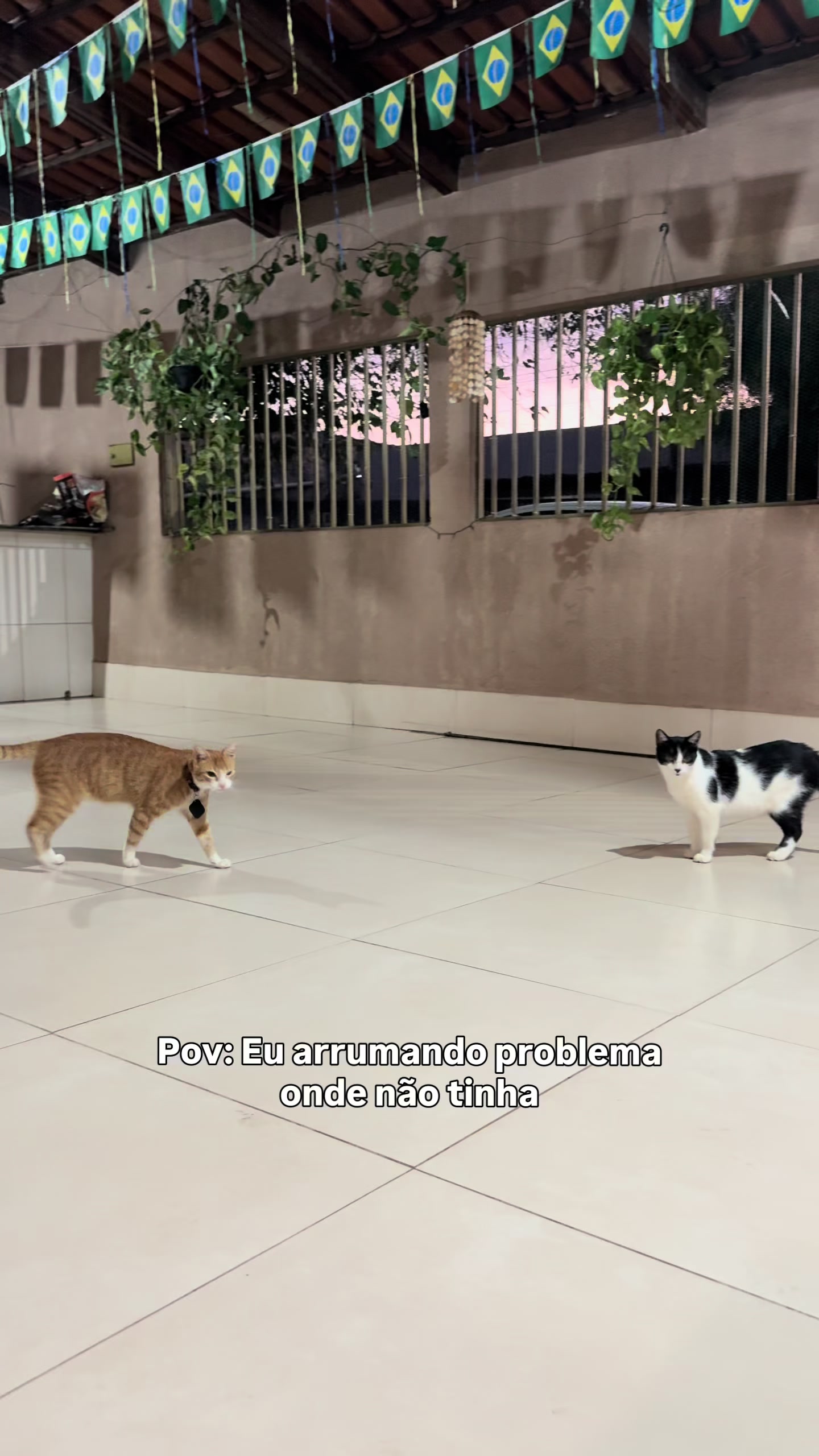 @loheseuspets