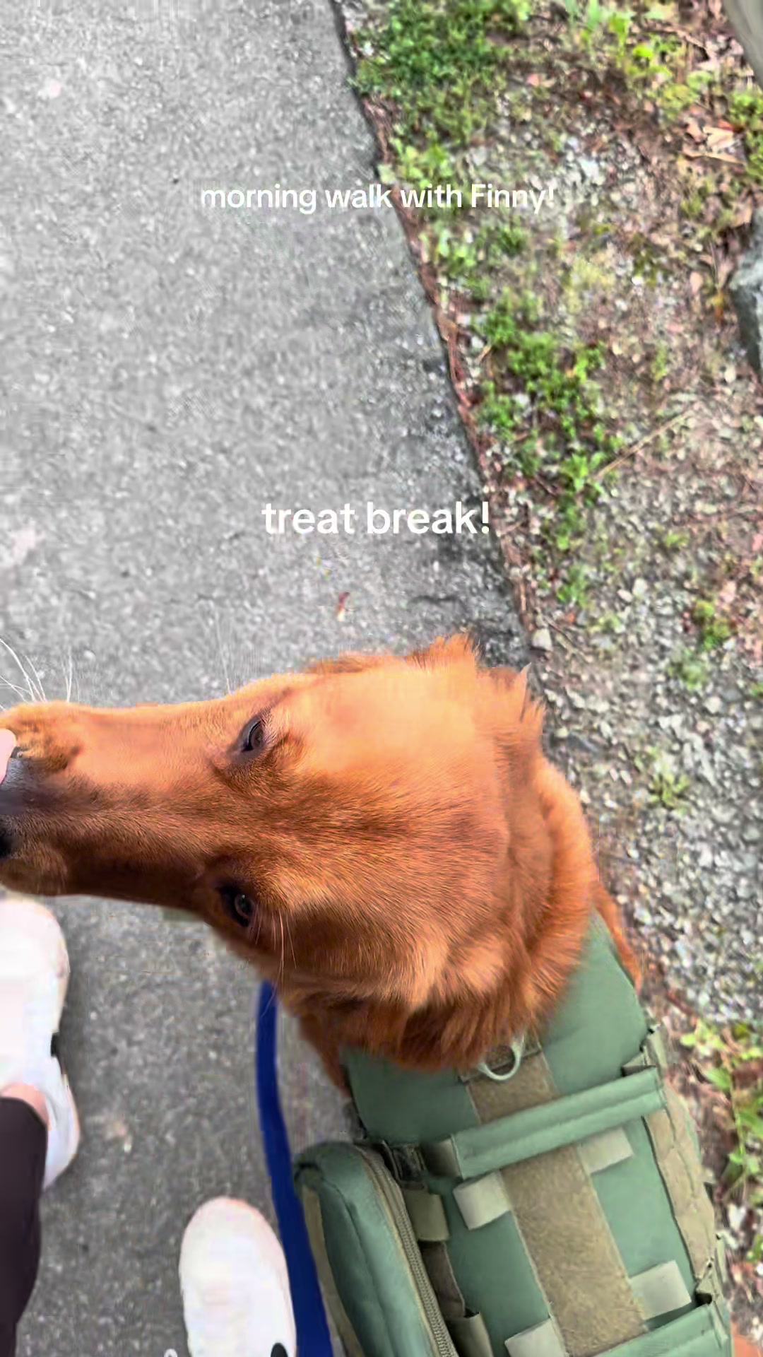 @Finn the Golden