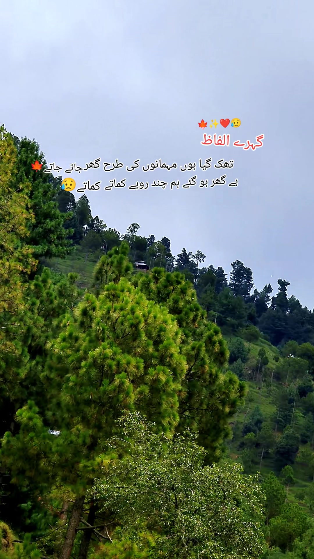 @💔اسامہ گجرکشمیـͫــͣــͥــری❣️