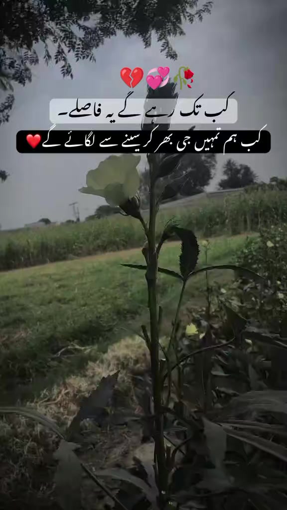 @mazhar Iqbal layyah wal