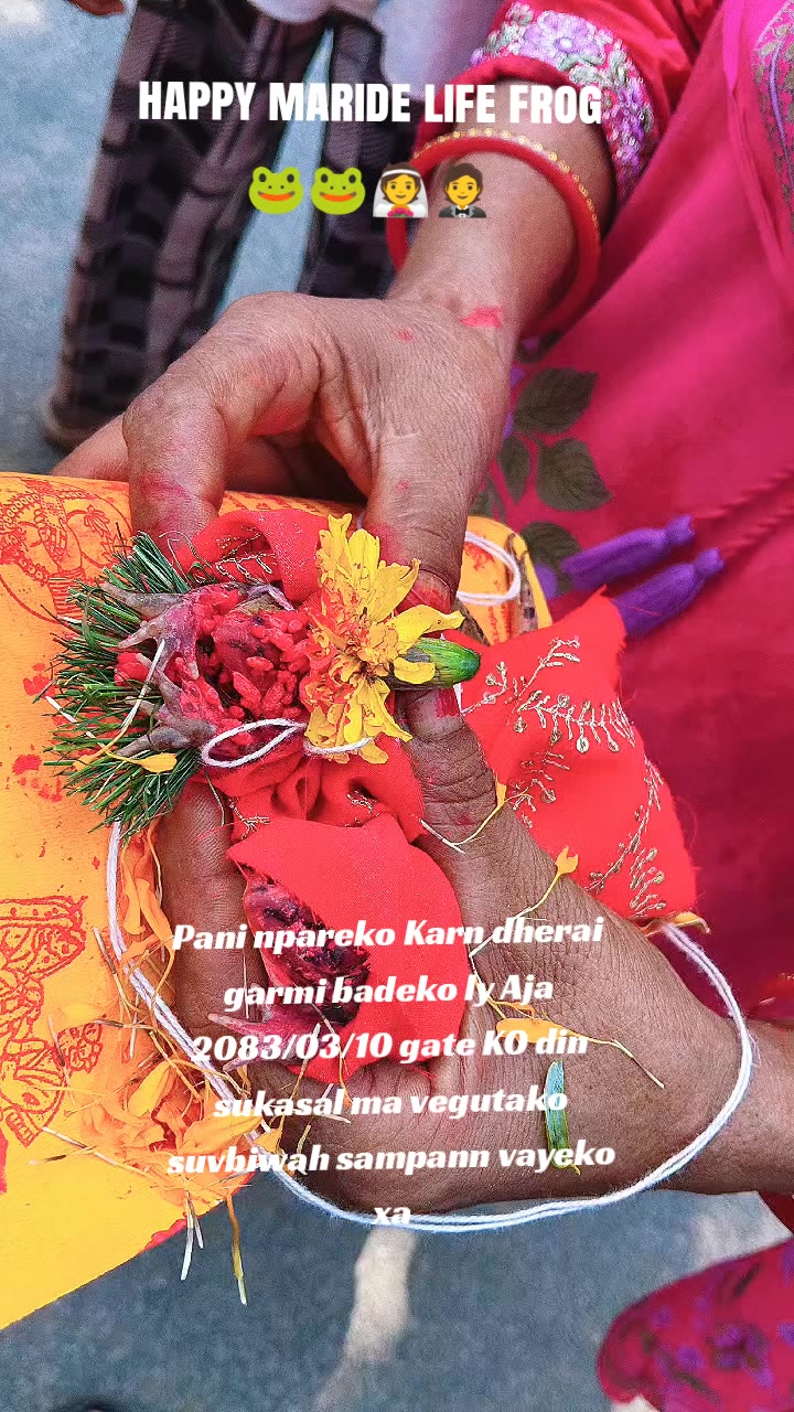 @👑pinky pahari 🍁💚🥀