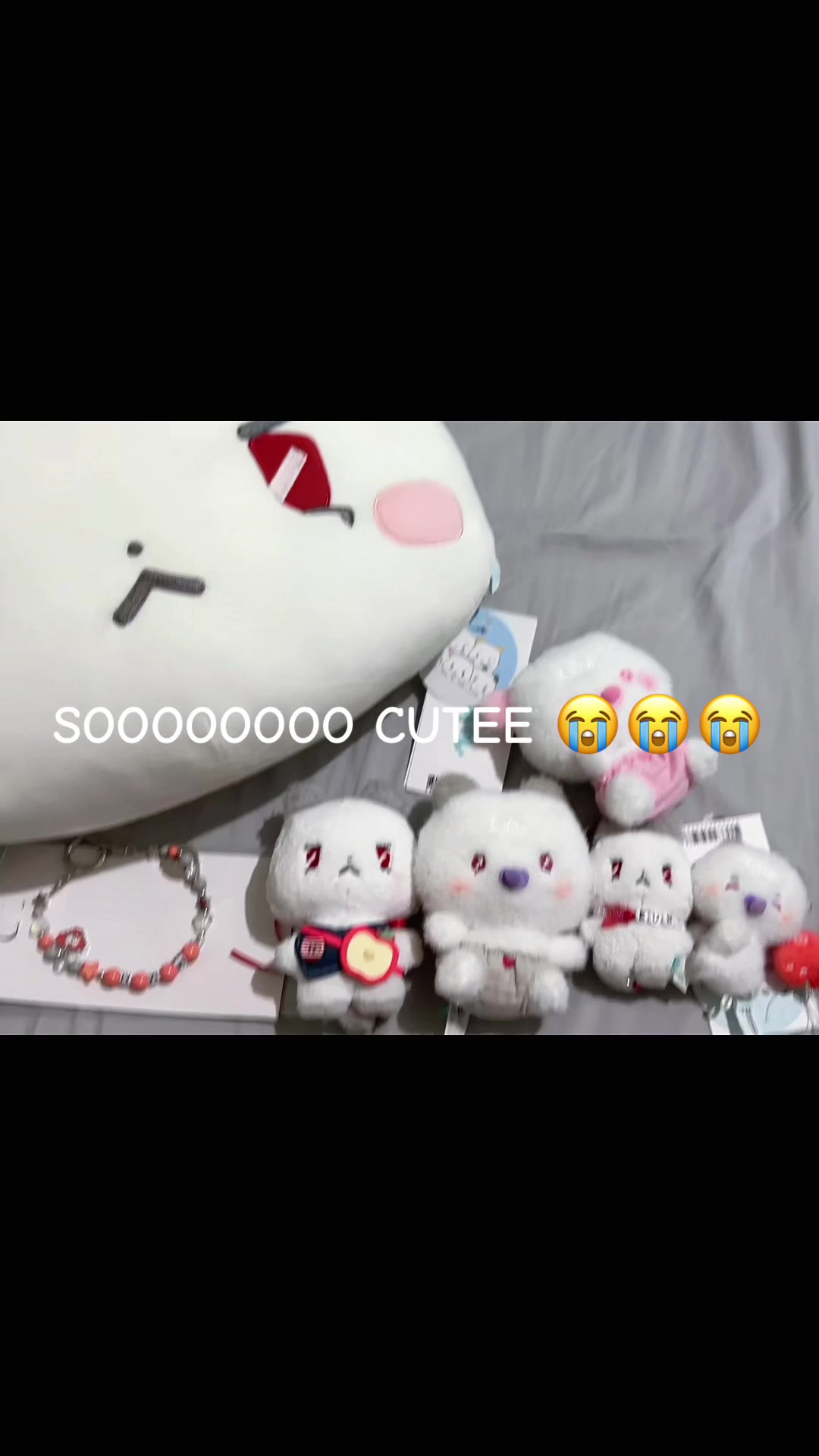 @cwkseisei