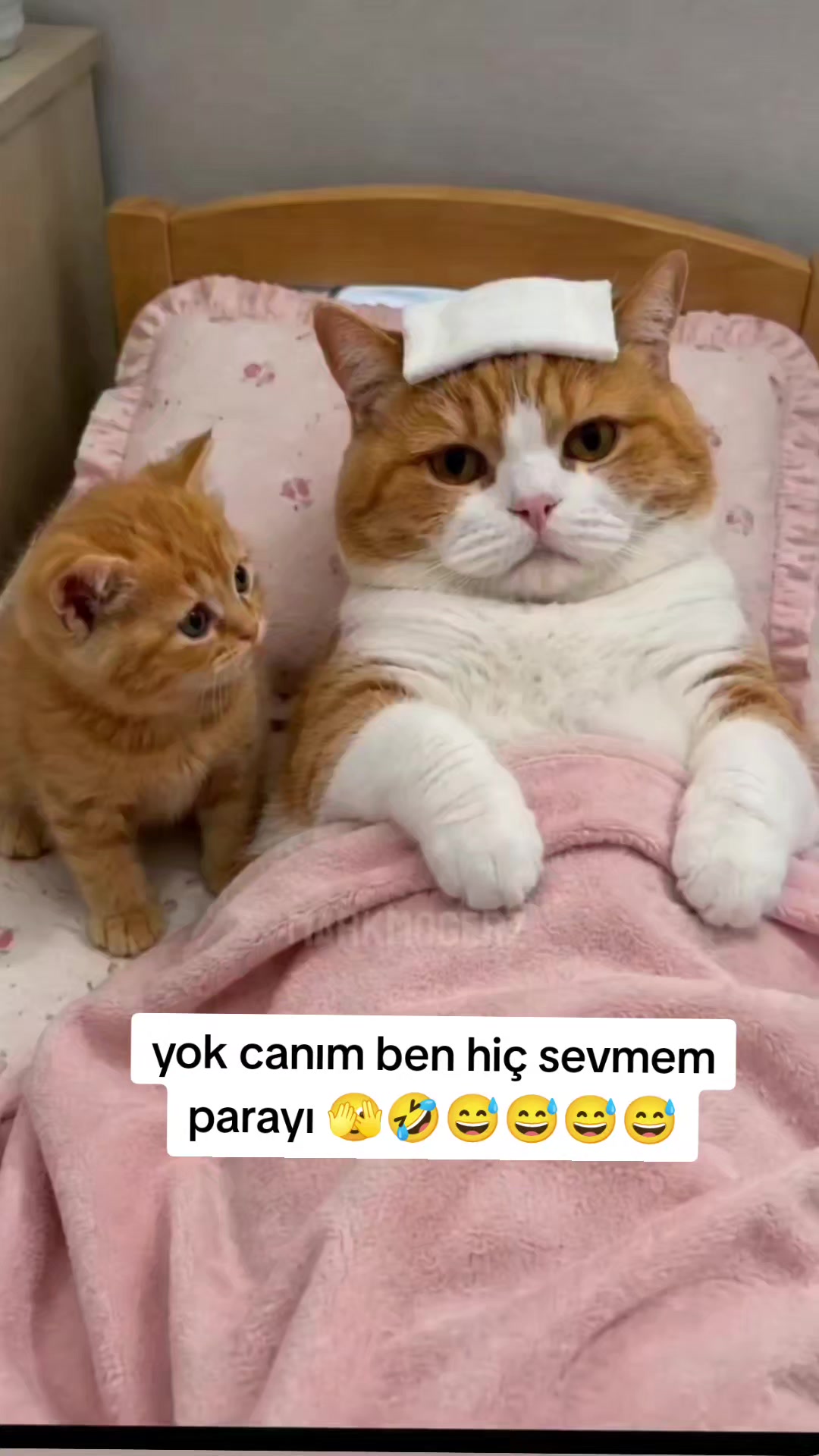 @gamzeli kızı 😊 minnoşlari