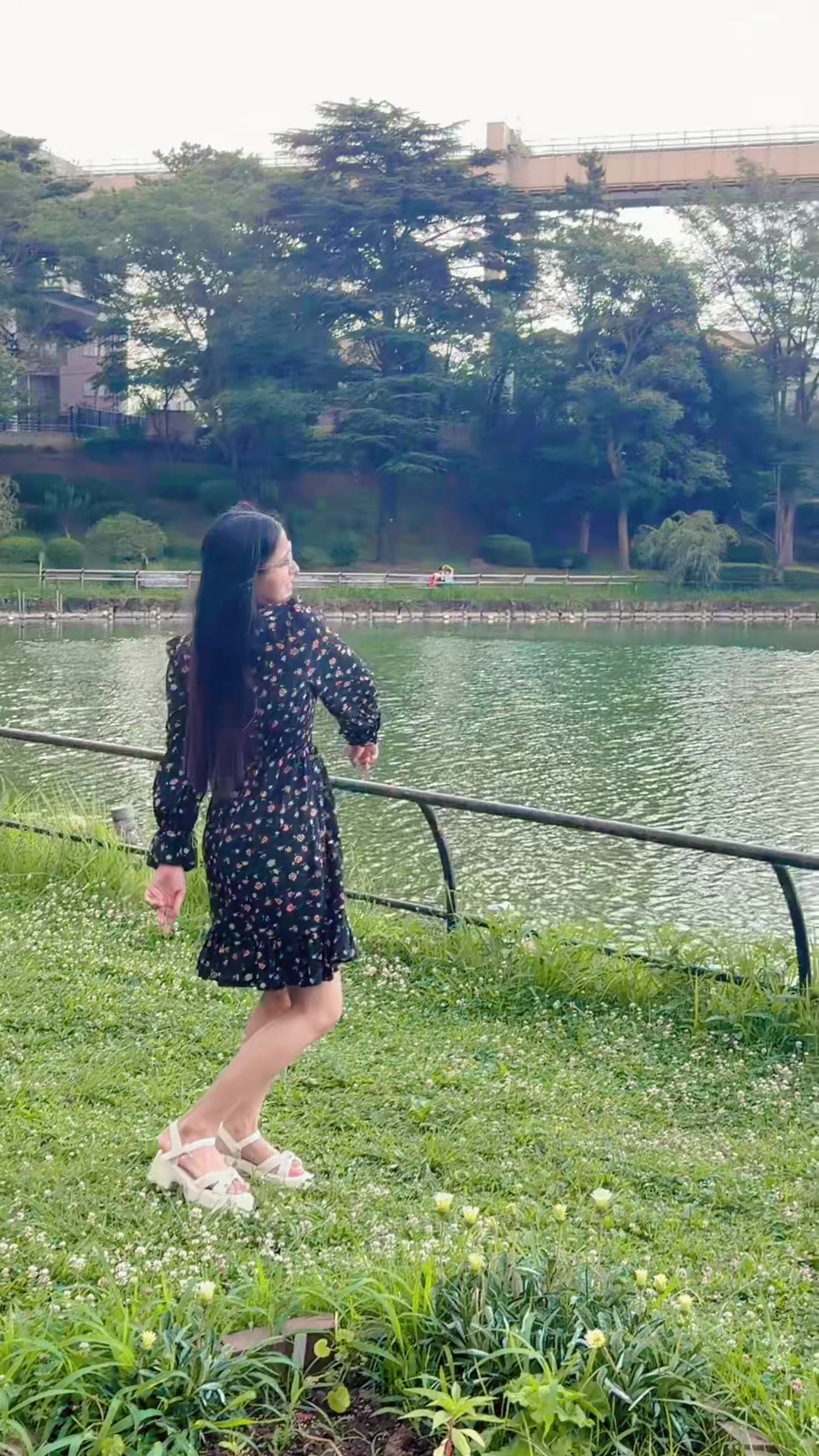 @ロジナ❤️シャム🇯🇵🇯🇵