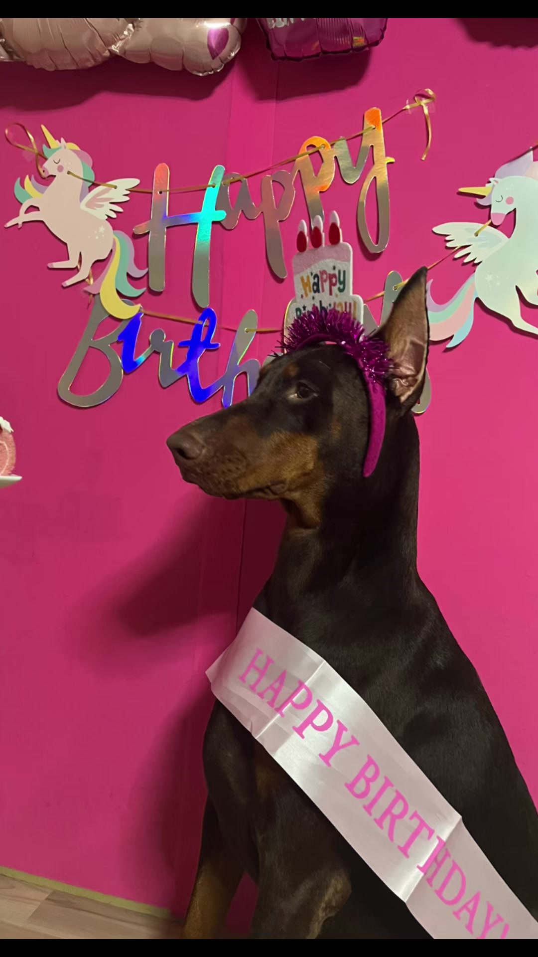 @🐣DOBERMAN🩷DORUMA