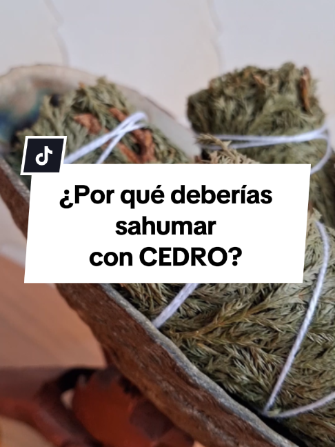 @Sentidos de la Vida