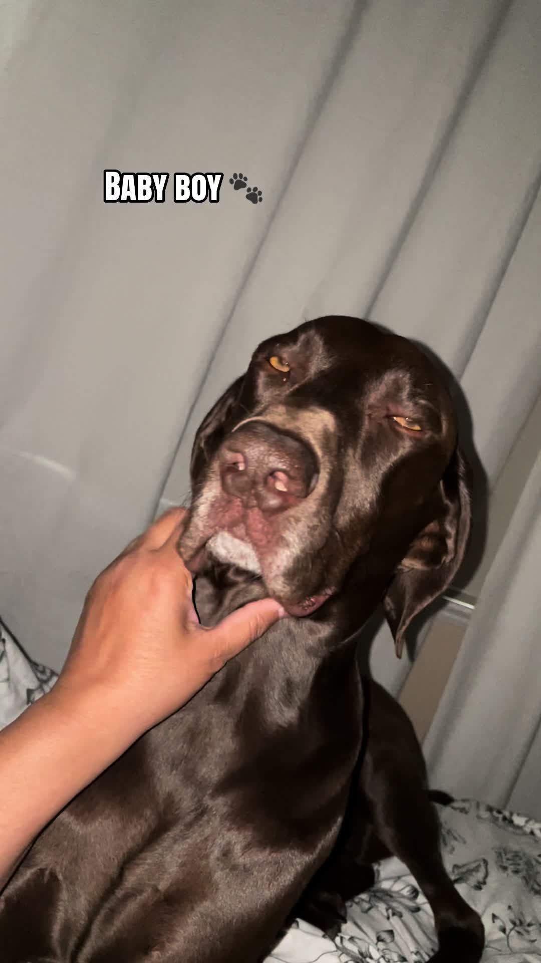 @Rocky_and_mom 🐾❤️🐶
