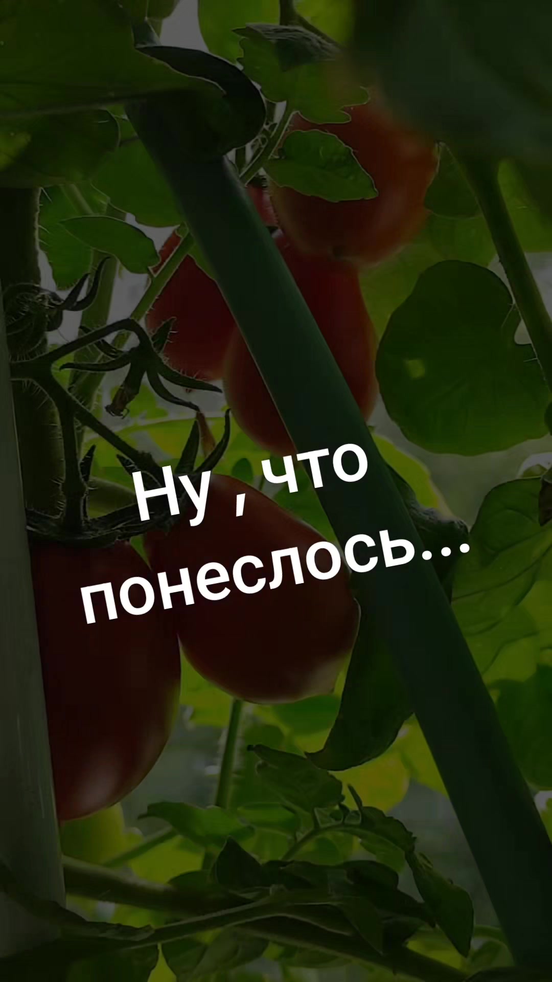 @Наталия