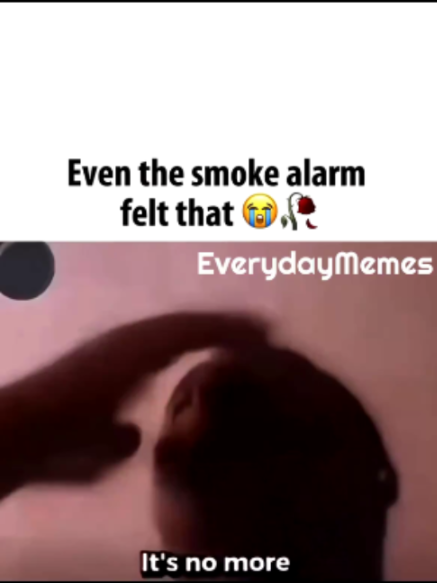 @EverydayMemes