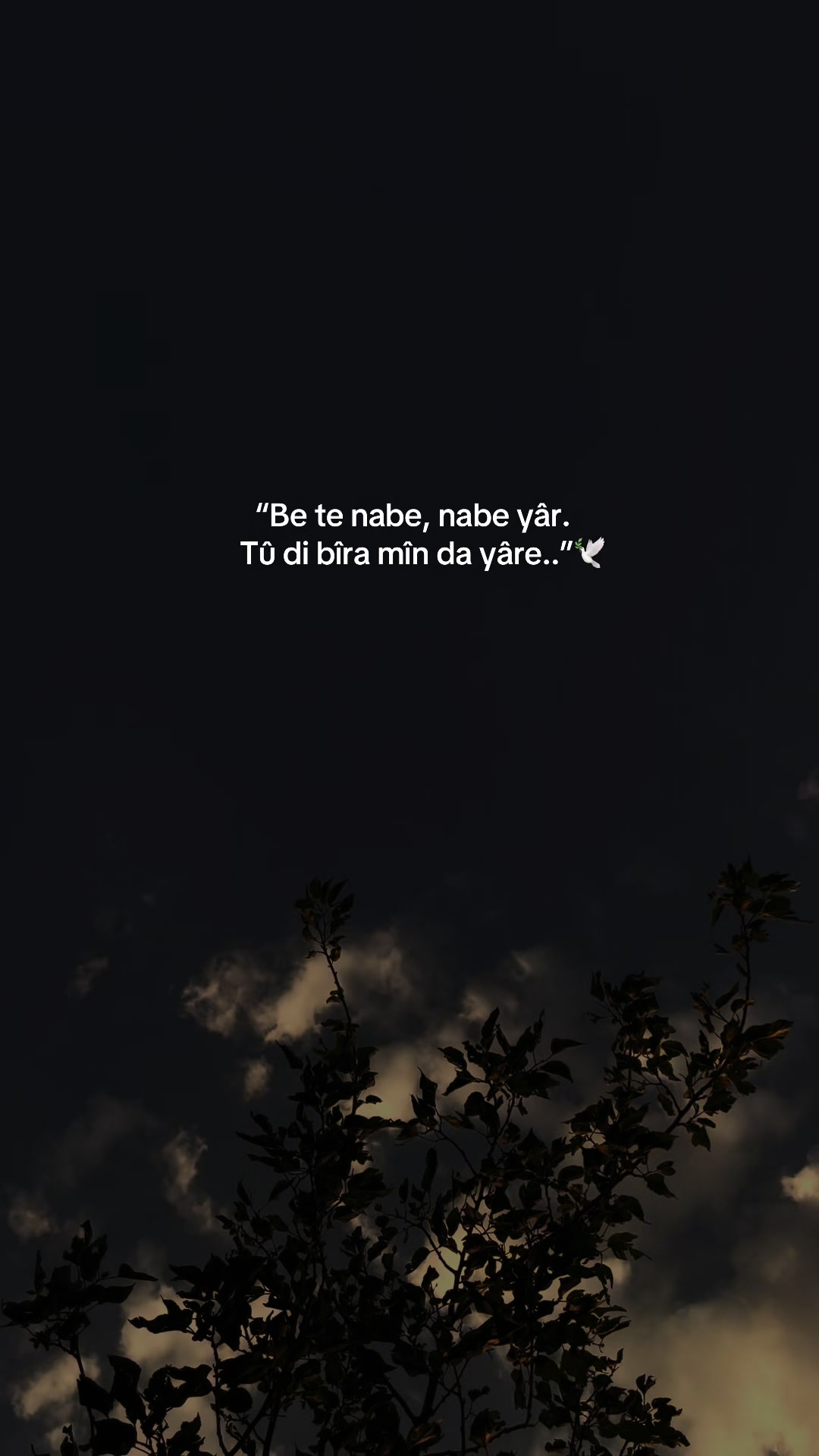@Meral