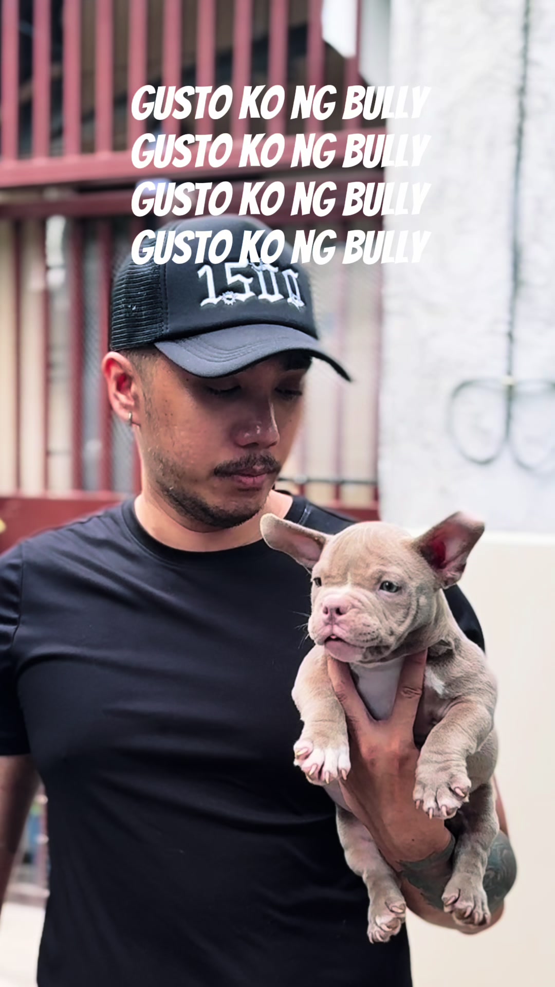 @HnH Bullies 🇵🇭