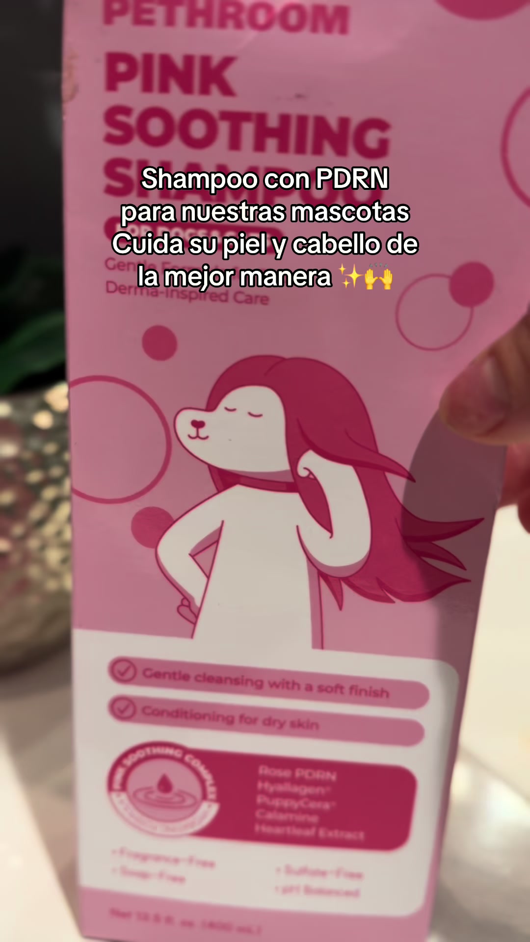 @alivalenciall