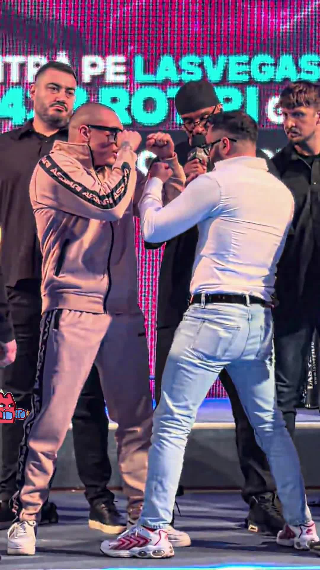 @boxer_tk