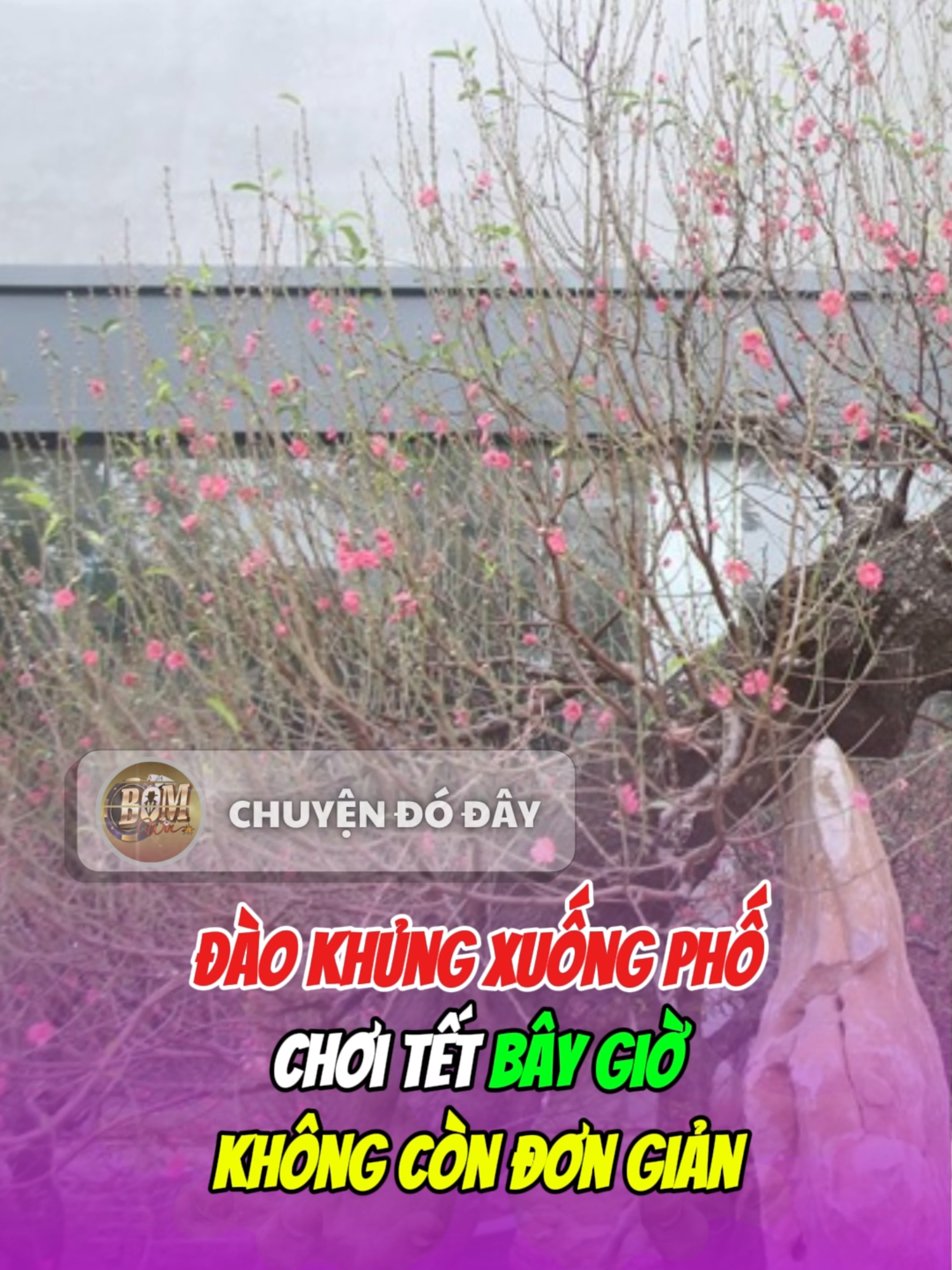 @Chuyện đ&oacute; đ&acirc;y