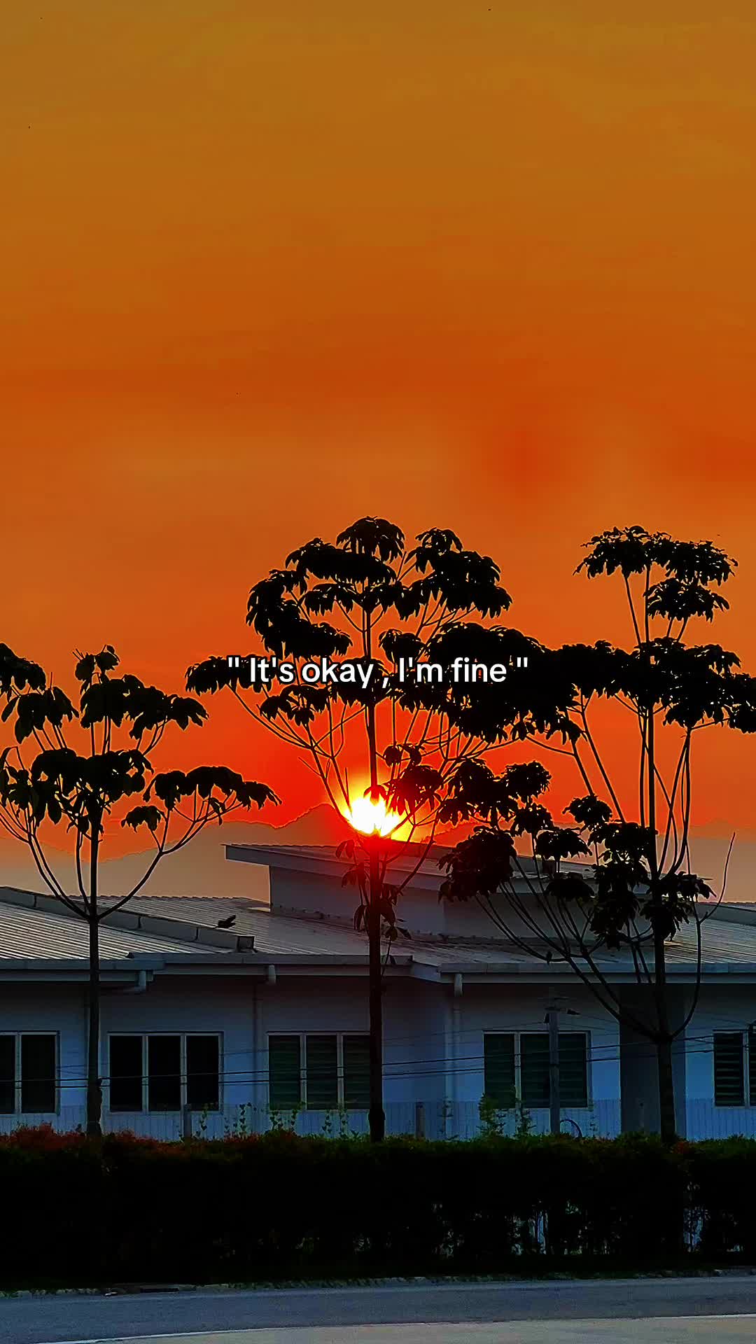@Ridxz