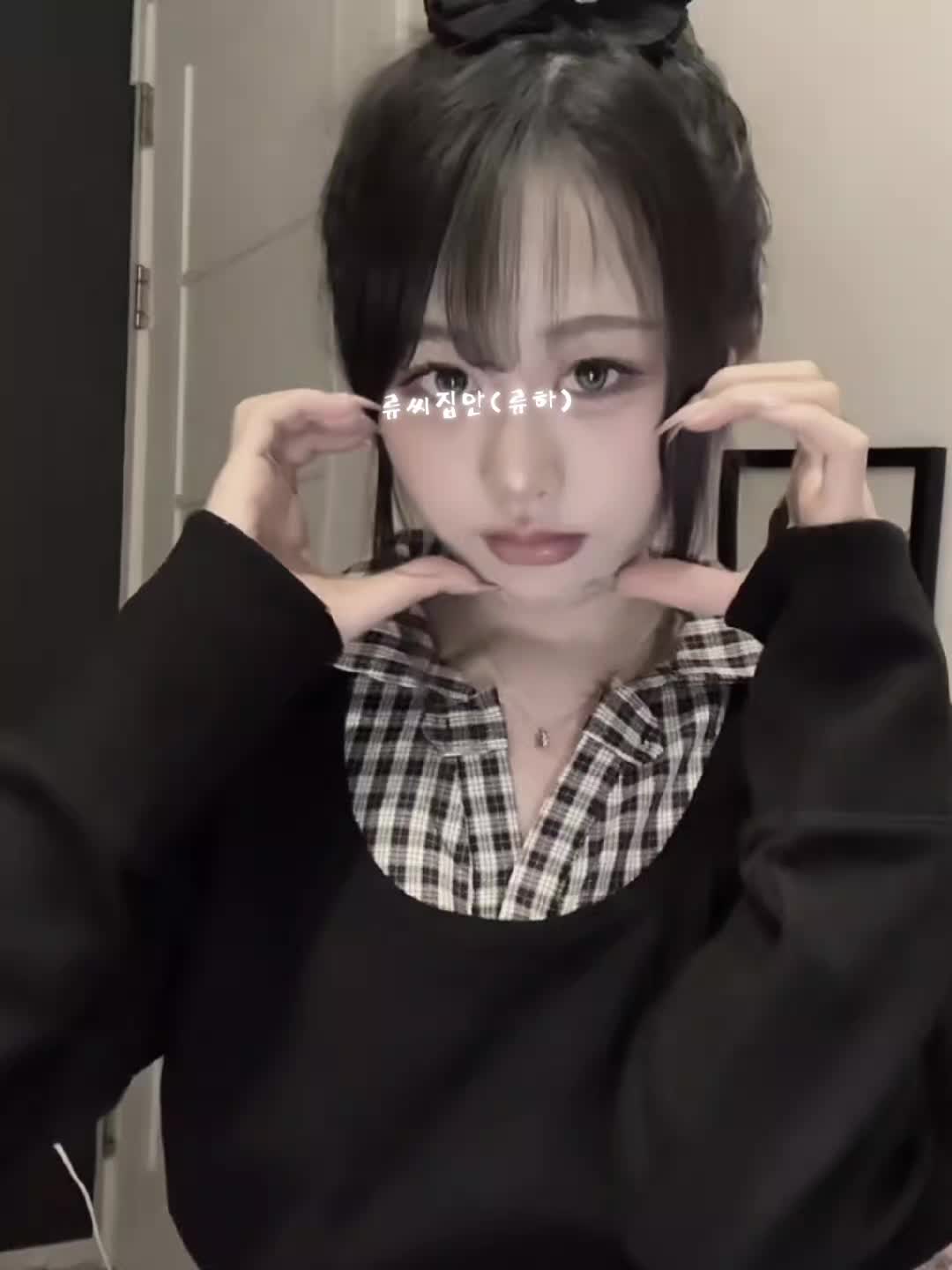 @류씨집안(류하)