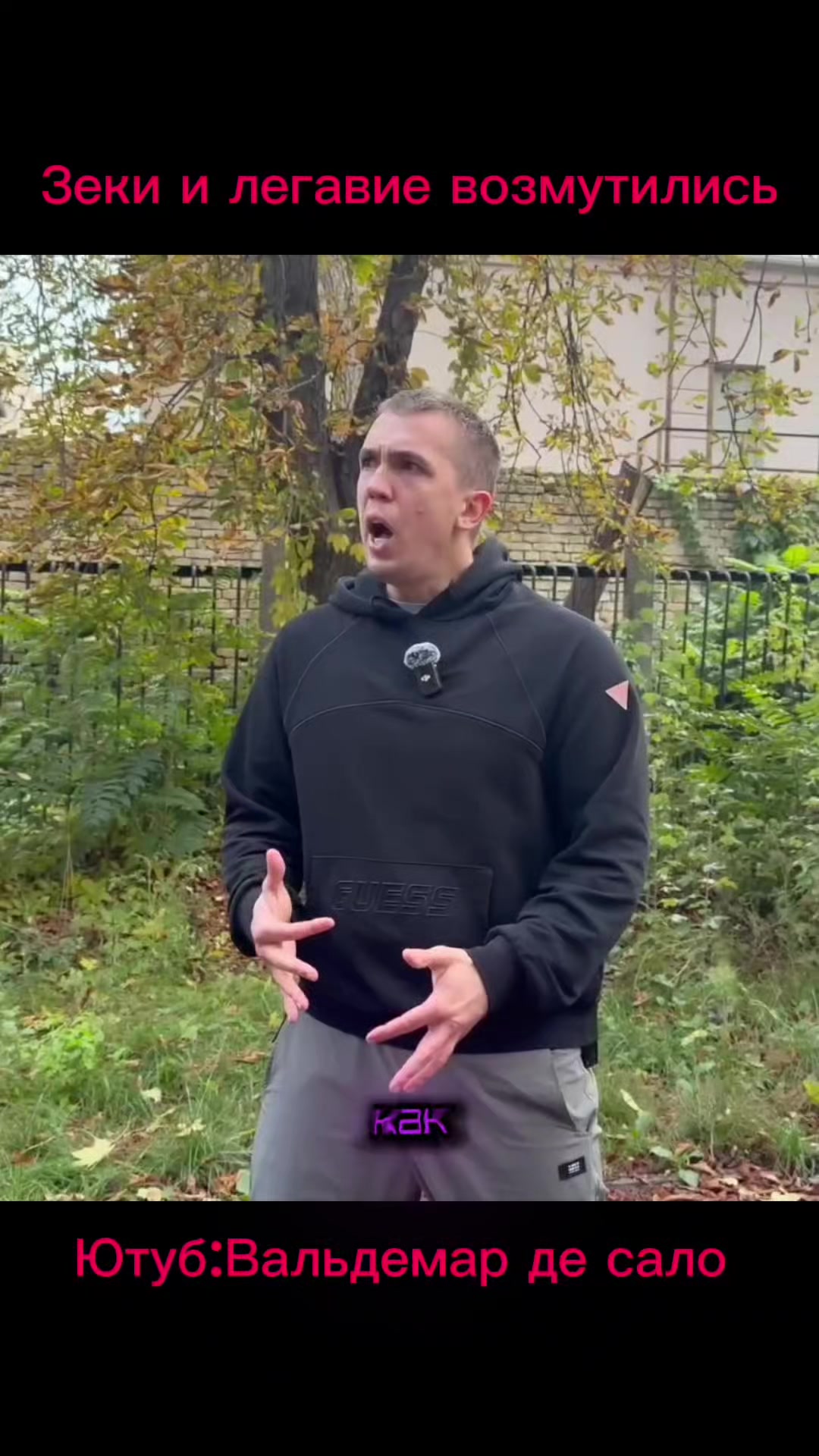 @Сало де Вальдемар