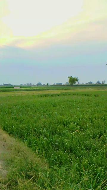 @🎖️ADEELKING🎋