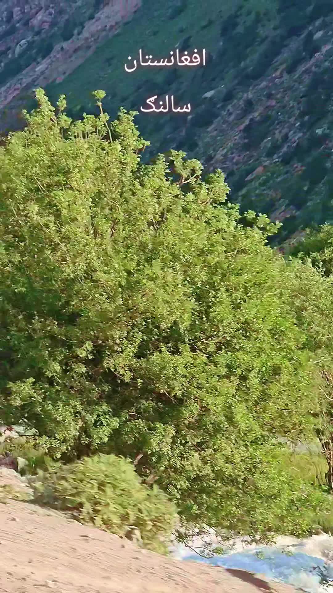 @꧁ᴠͥɪͣᴘͫ✮⃝𝓡𝓪𝓱𝓫𝓪𝓻🤴🏻🦅꧂