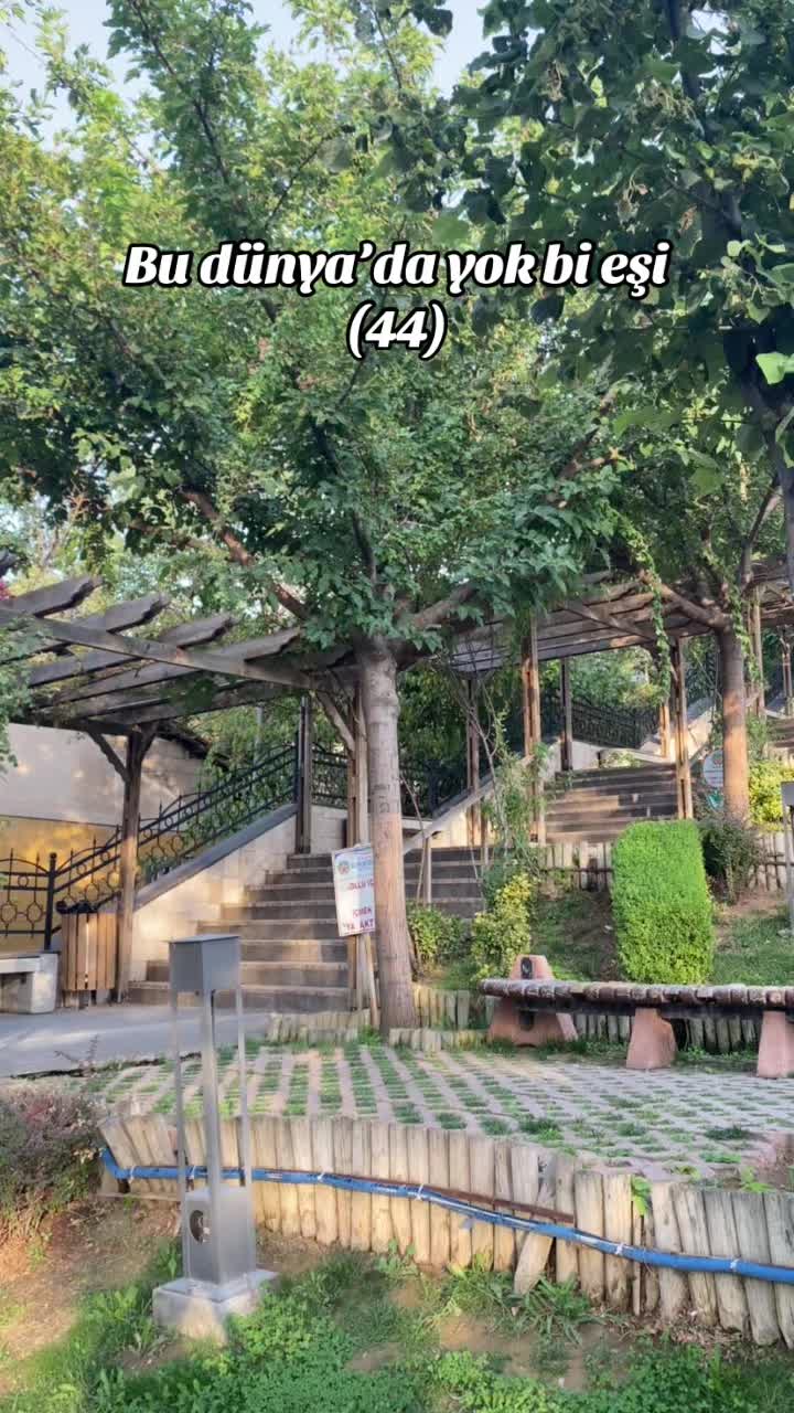 @N.🐆