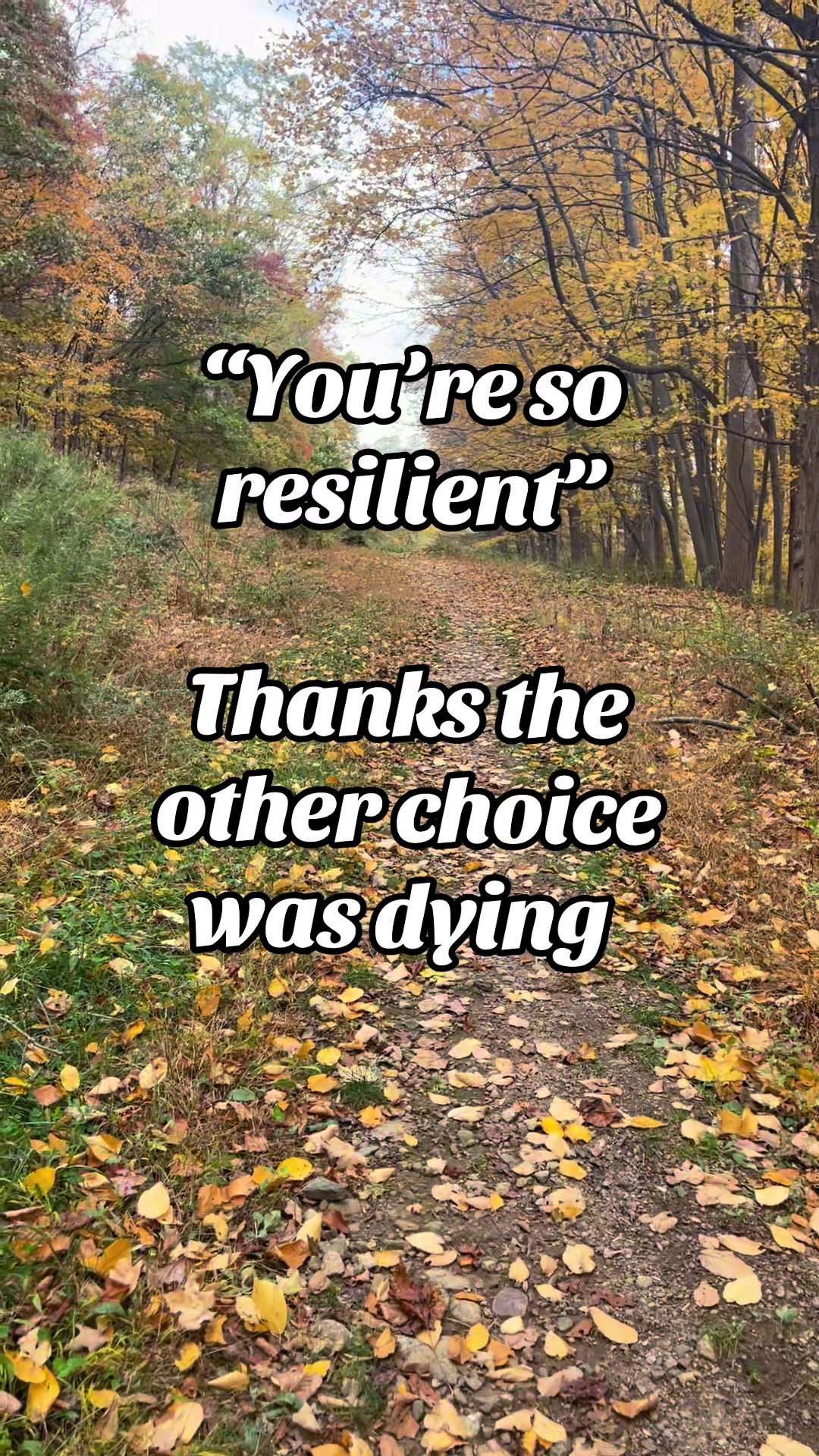 @Quotes