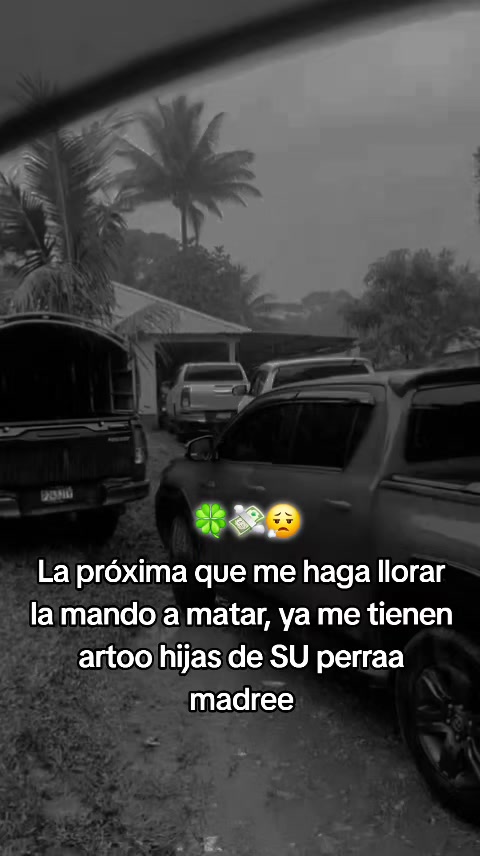 @E. Cucul