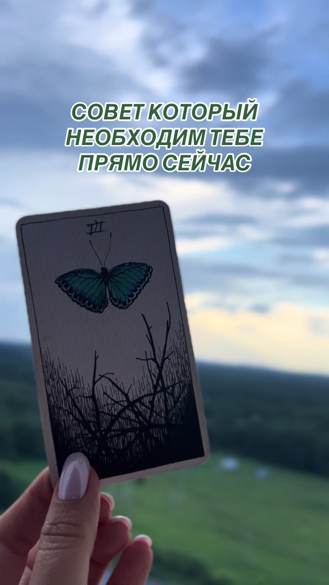 @tarolog__katrin_