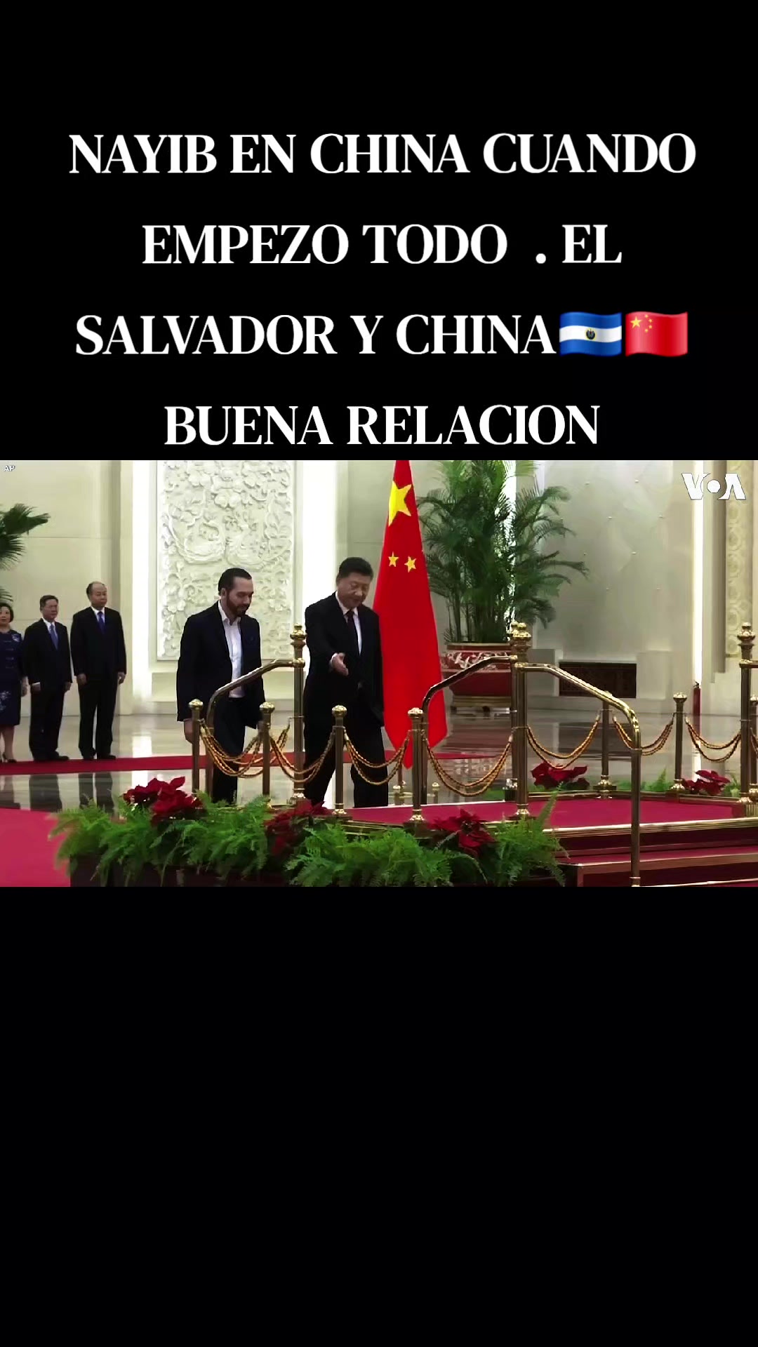 @ZUKO  SV 🇸🇻