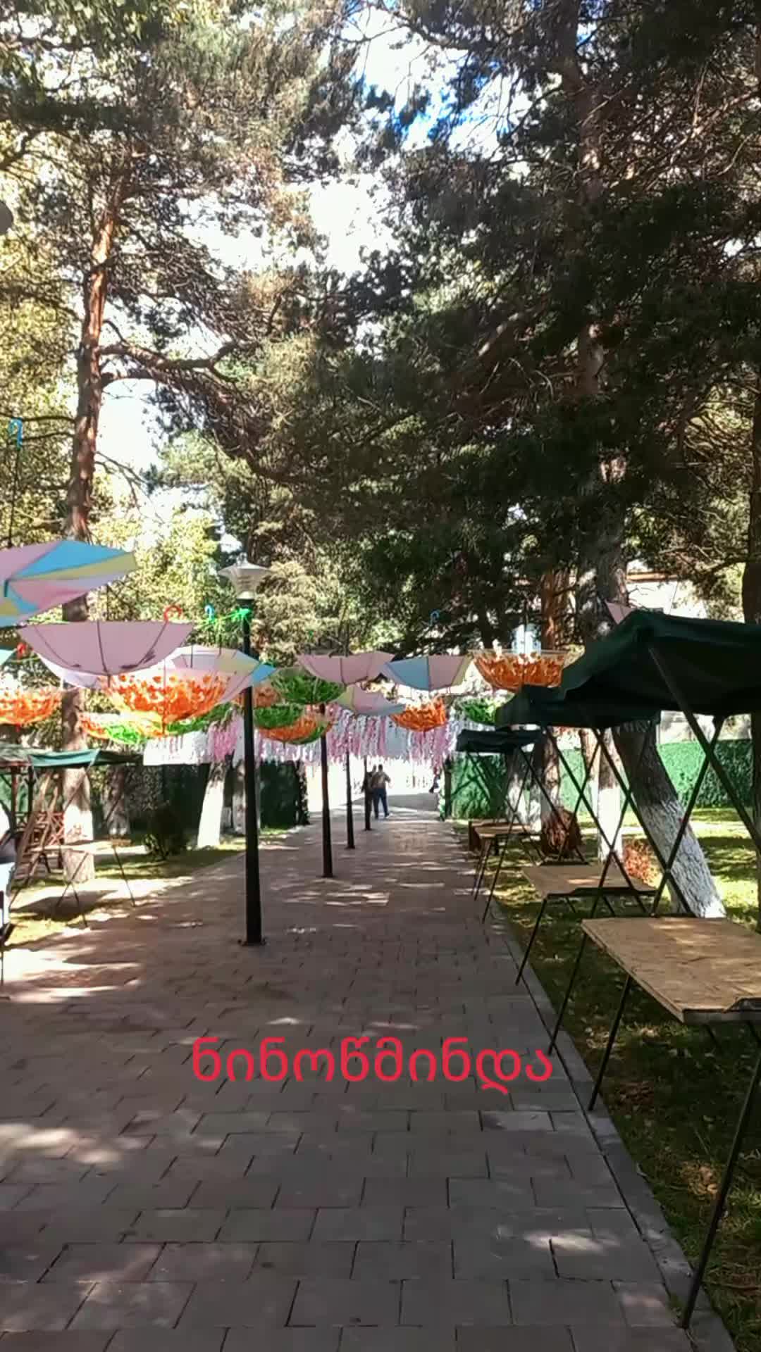 @Maia Kobakhidze675