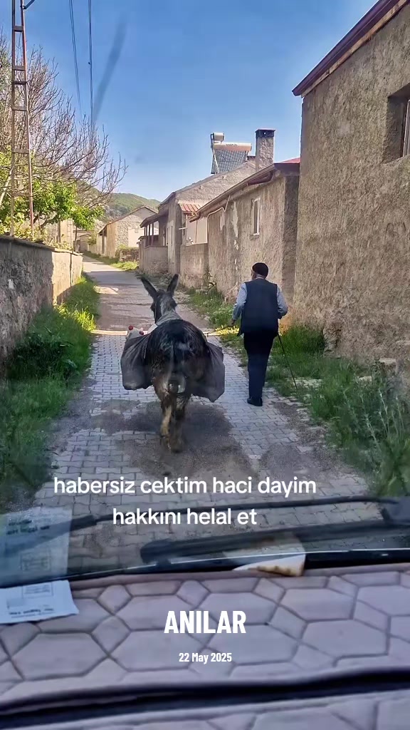 @Mikail Gülsoy