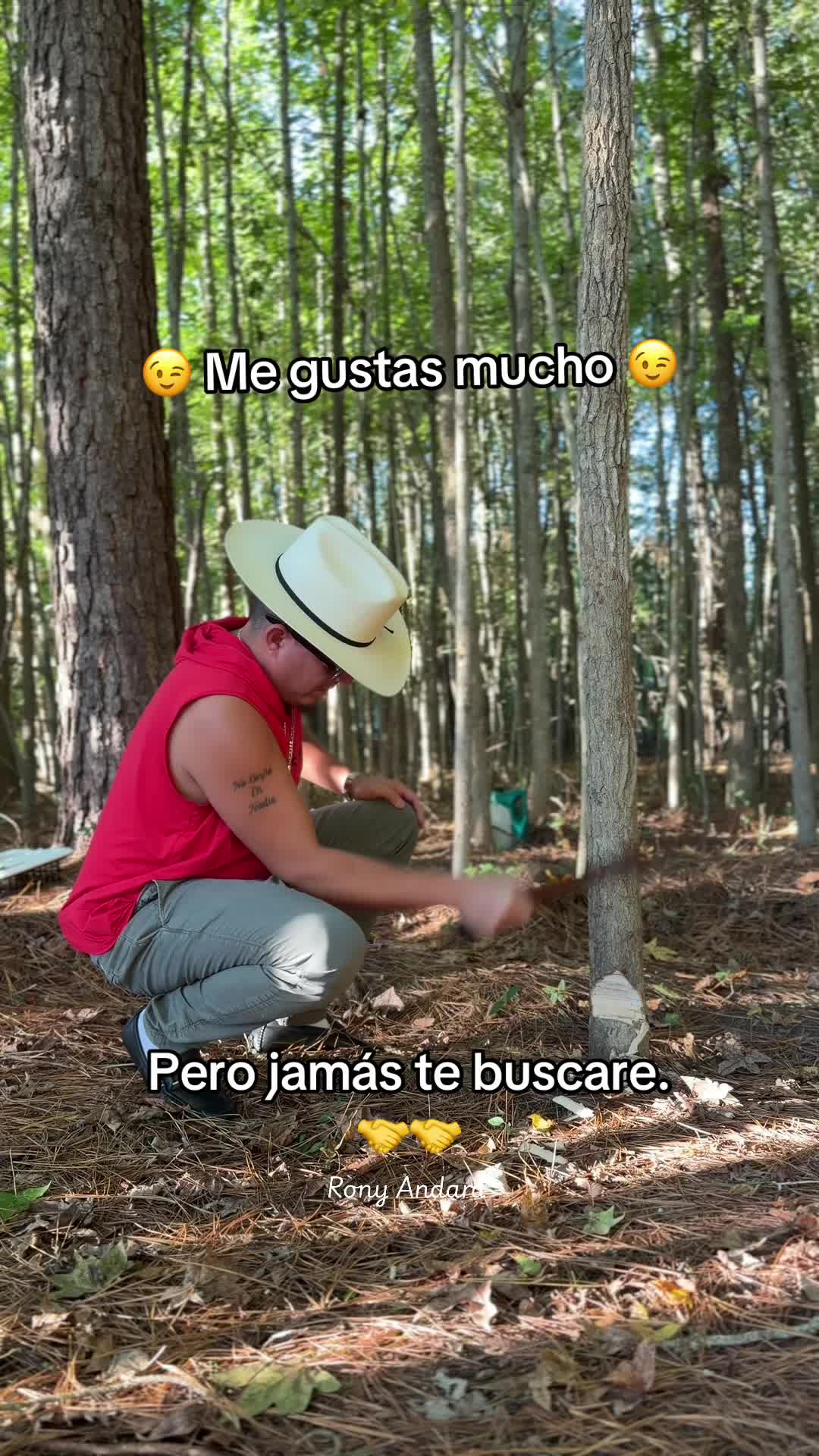 @ronyandara45