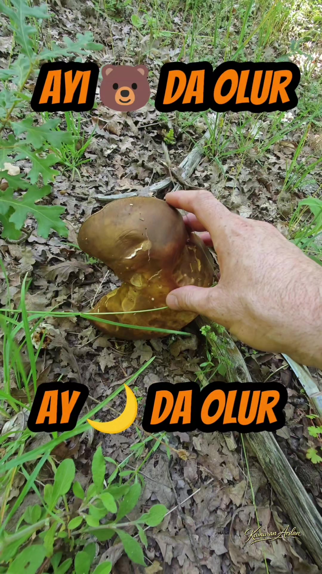 @Kamuran Arslan