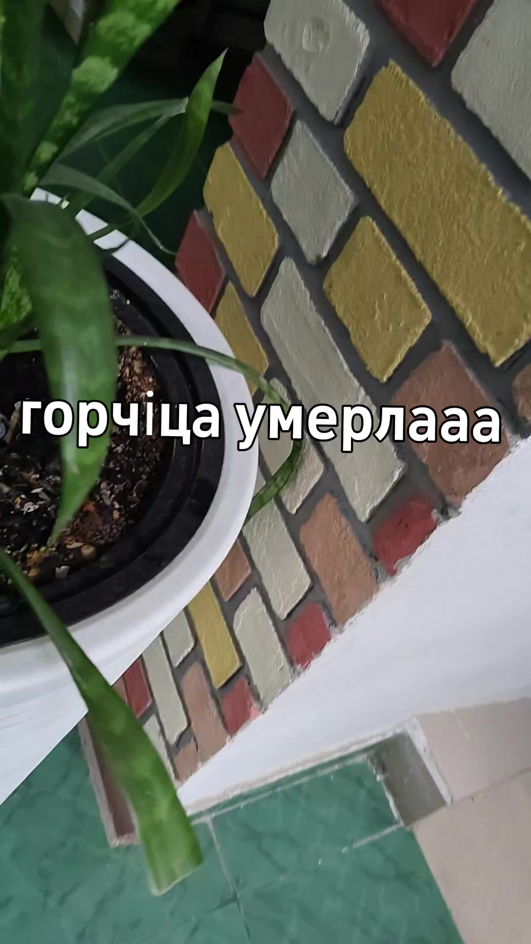 @леха