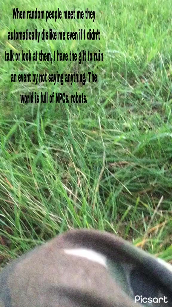 @🥩⚔️𝔏𝔞𝔡𝔶 𝔢𝔳𝔦𝔩 ⚔️🌲