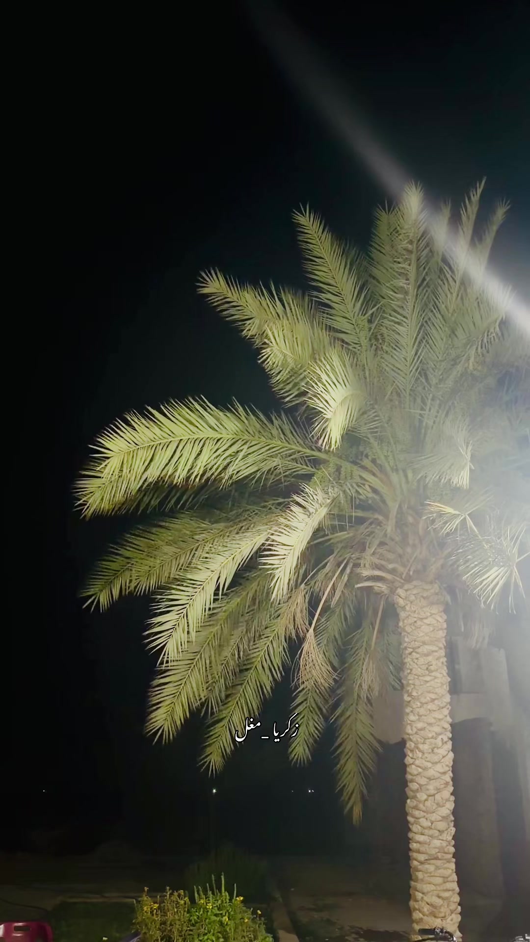 @Zakaria💫🥀
