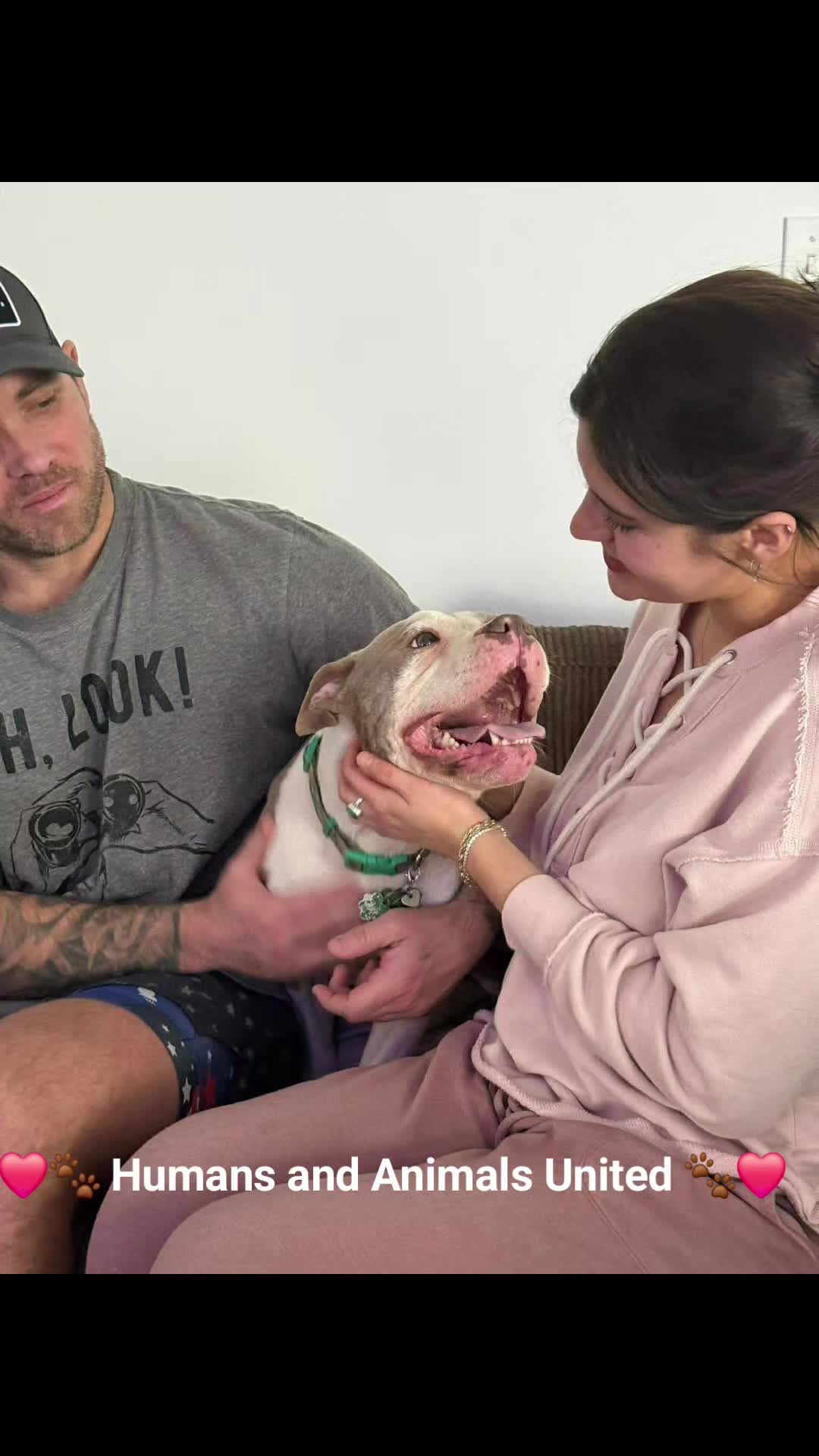 @HumansAndAnimalsUnited