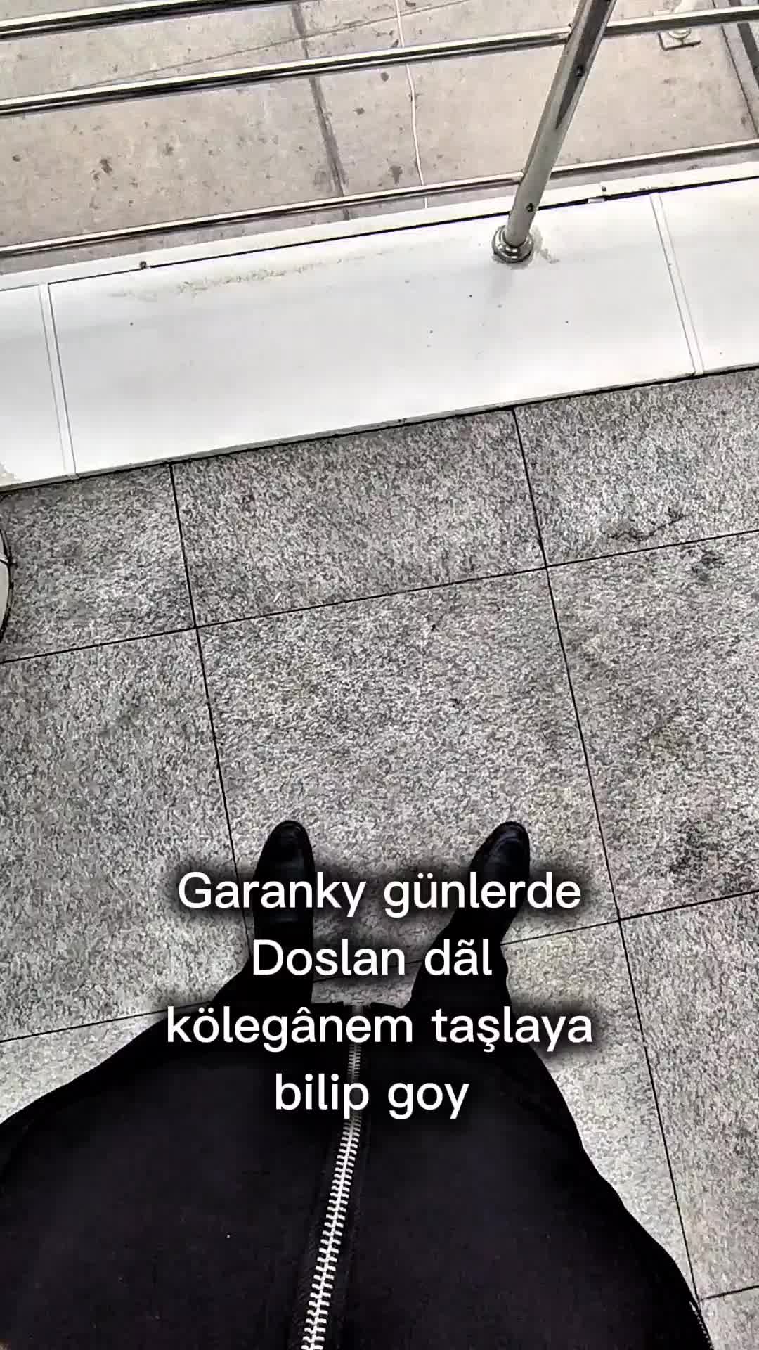 @multik🇵🇸