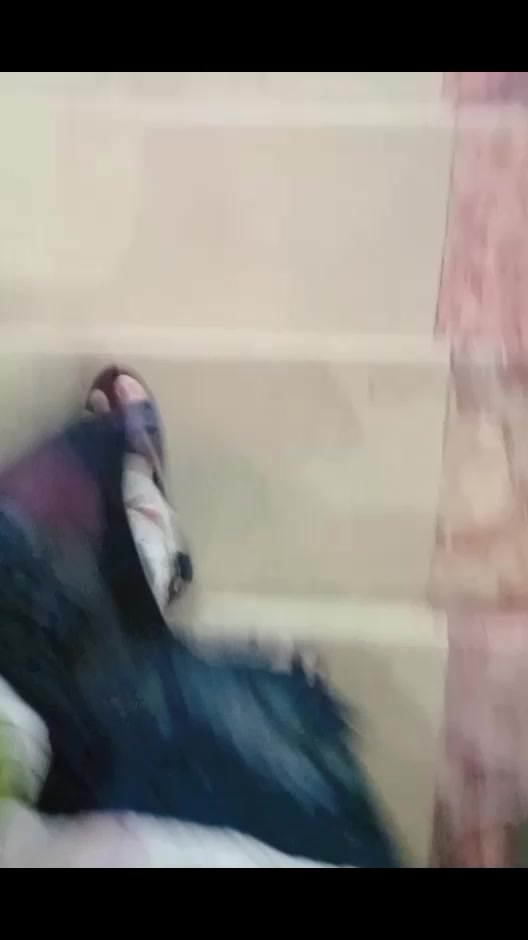@Rami kohati