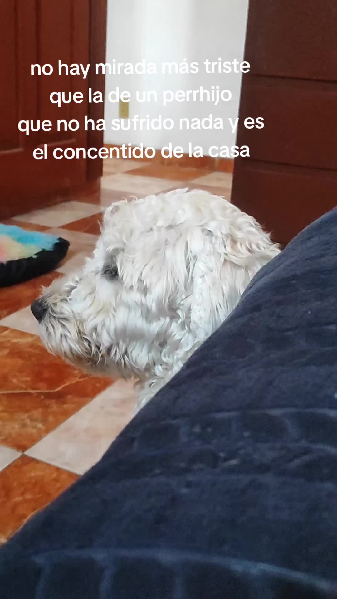 @ICO (Federico)