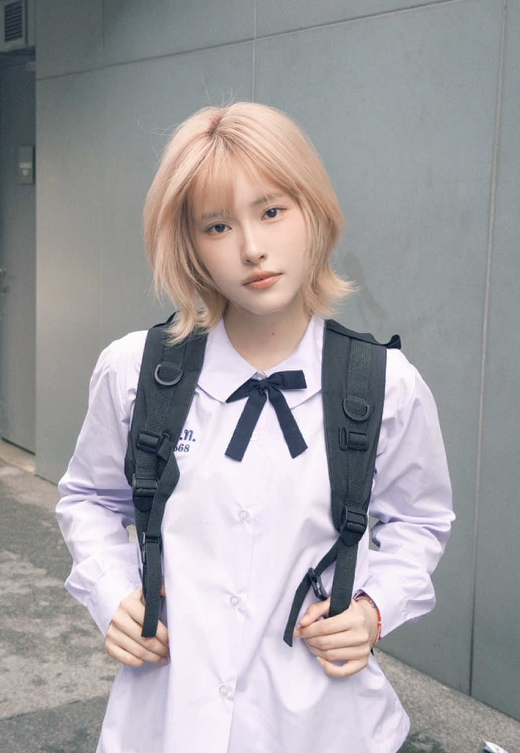 @pigwipa