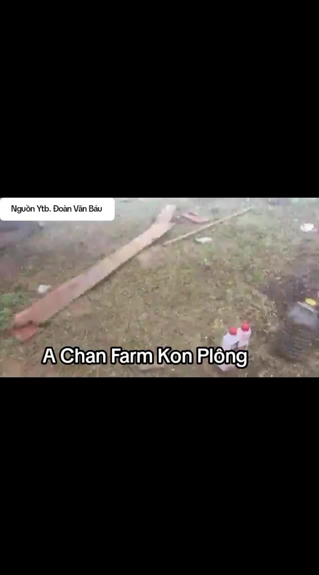 @Chanel Nguyễn