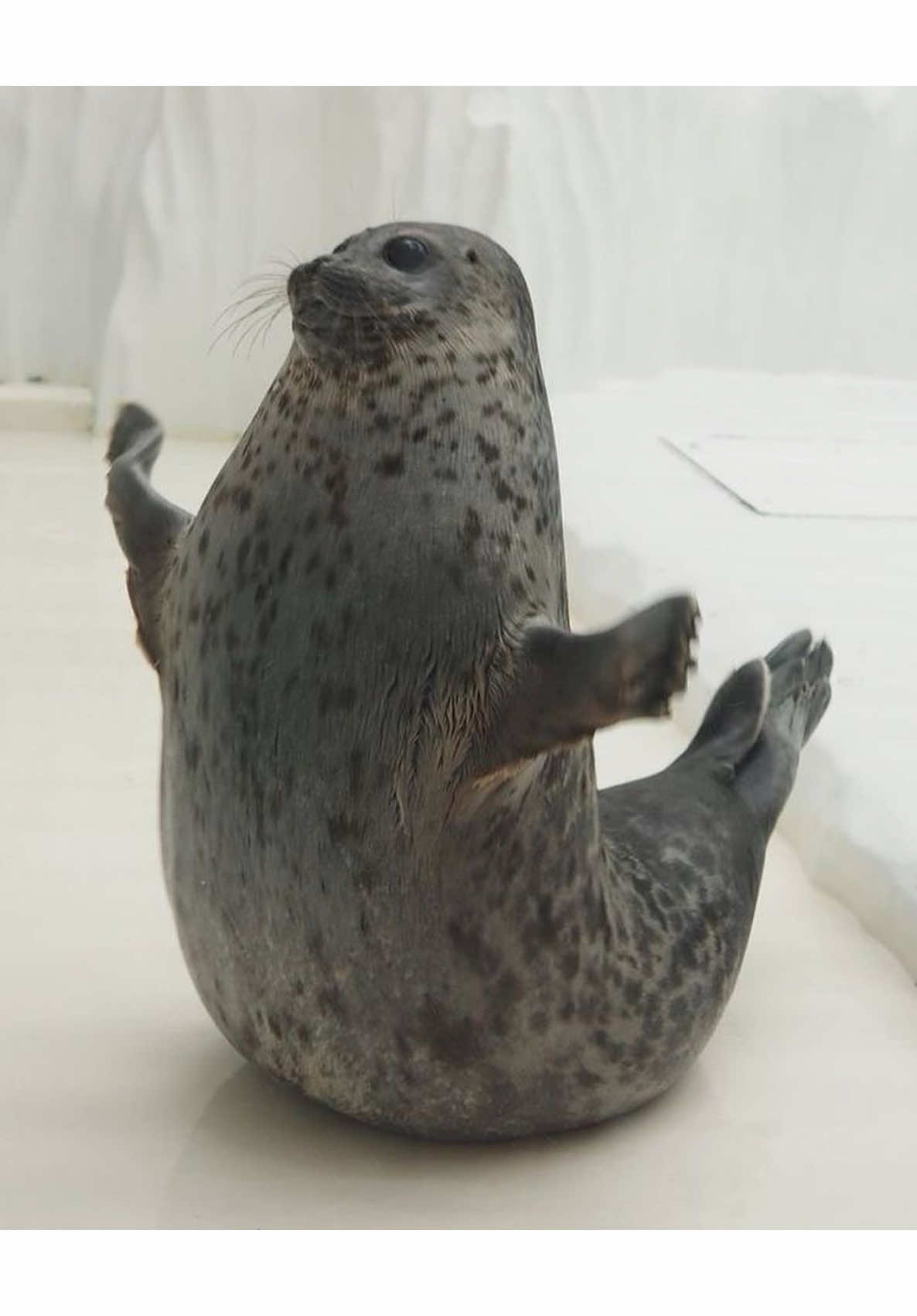 @Cloud 🌤️